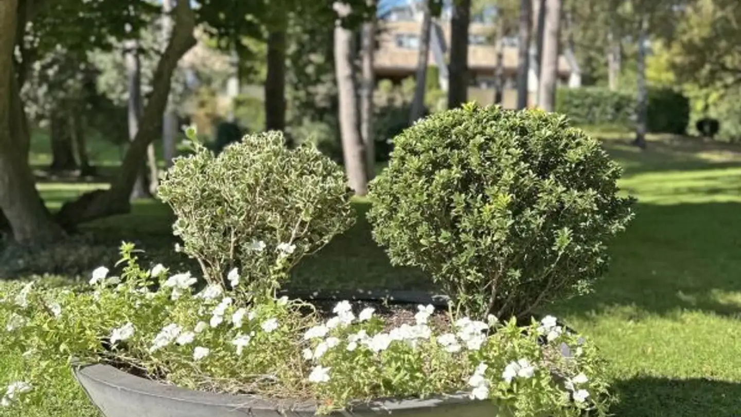 Appartamento in vendita - 1231 Conches - Foto 2