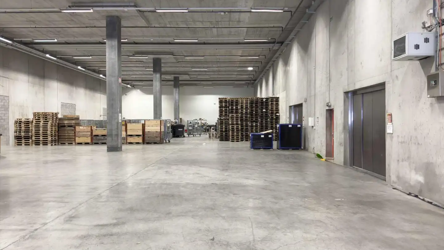 Commercial for rent - Chemin Grenet 22, 1214 Vernier