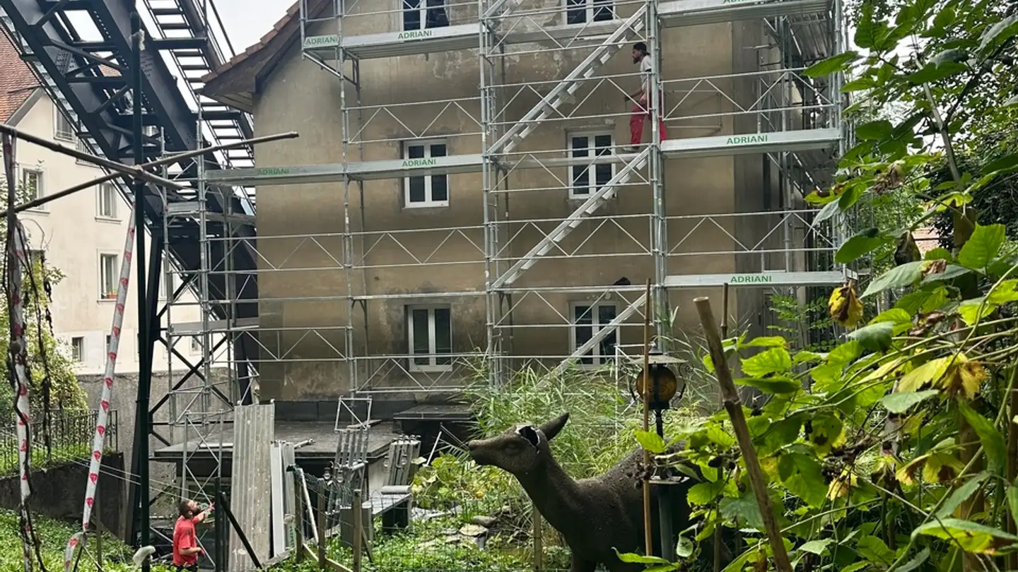 Appartement à vendre - Rue De La Sarine 4, 1700 Fribourg