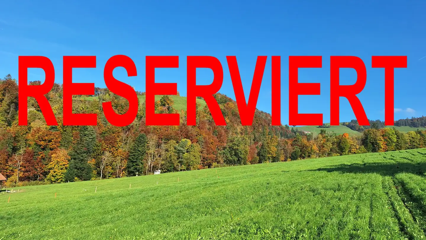 Single house for sale - 9620 Lichtensteig