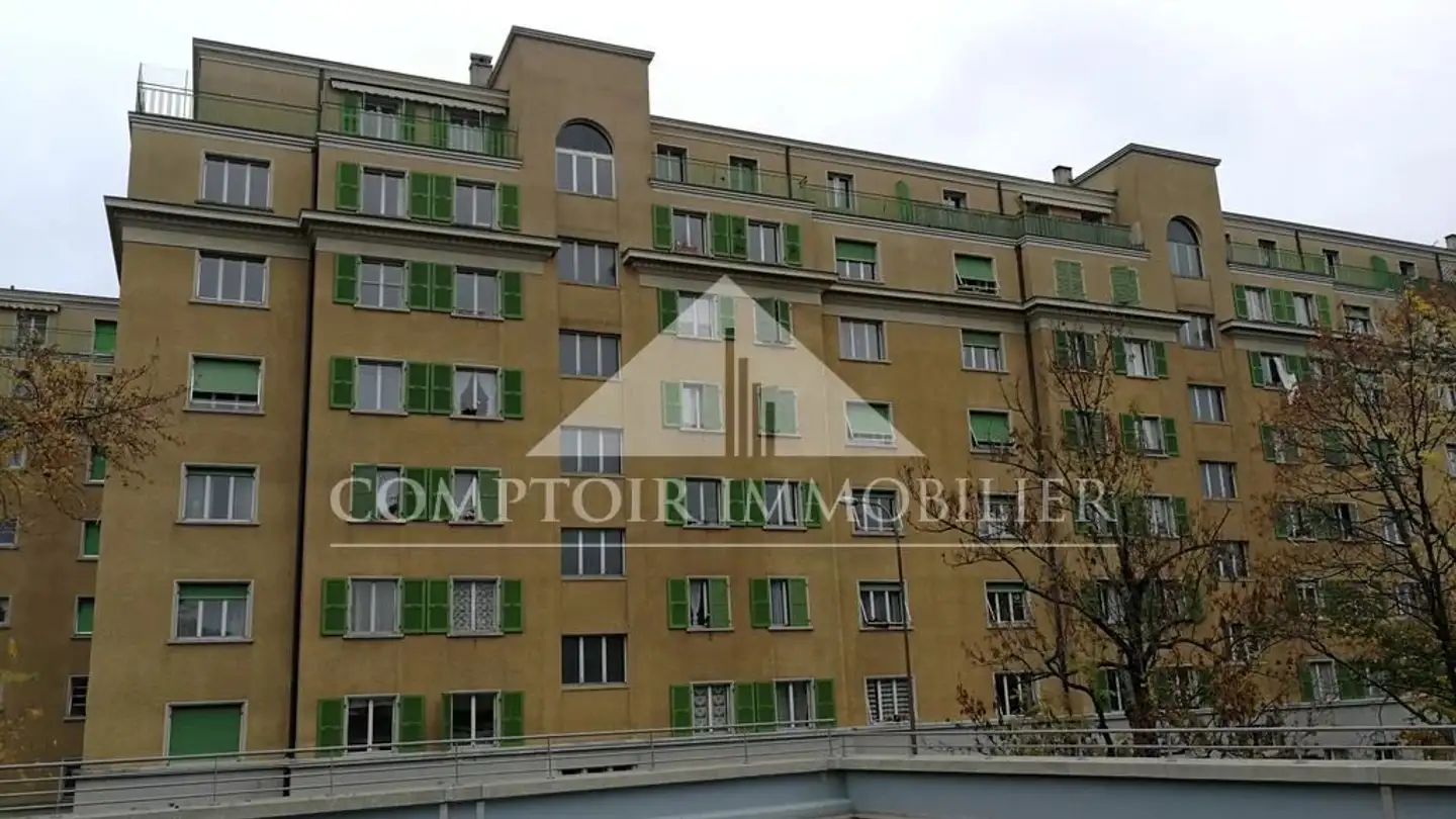 Appartamento in affitto - Avenue Blanc 8, 1202 Genève