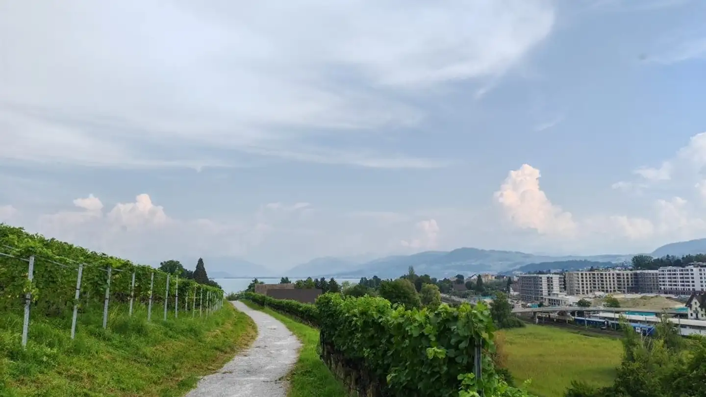 Apartment for rent - Seestrasse 291a, 8804 Au ZH - Photo 2