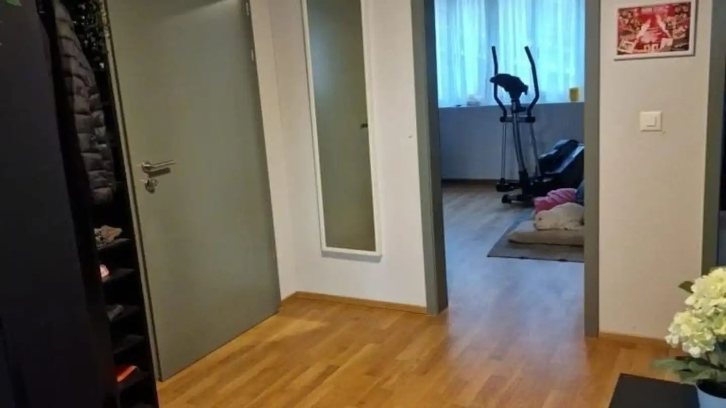 Appartement à louer - Alte Steig 4, 9100 Herisau