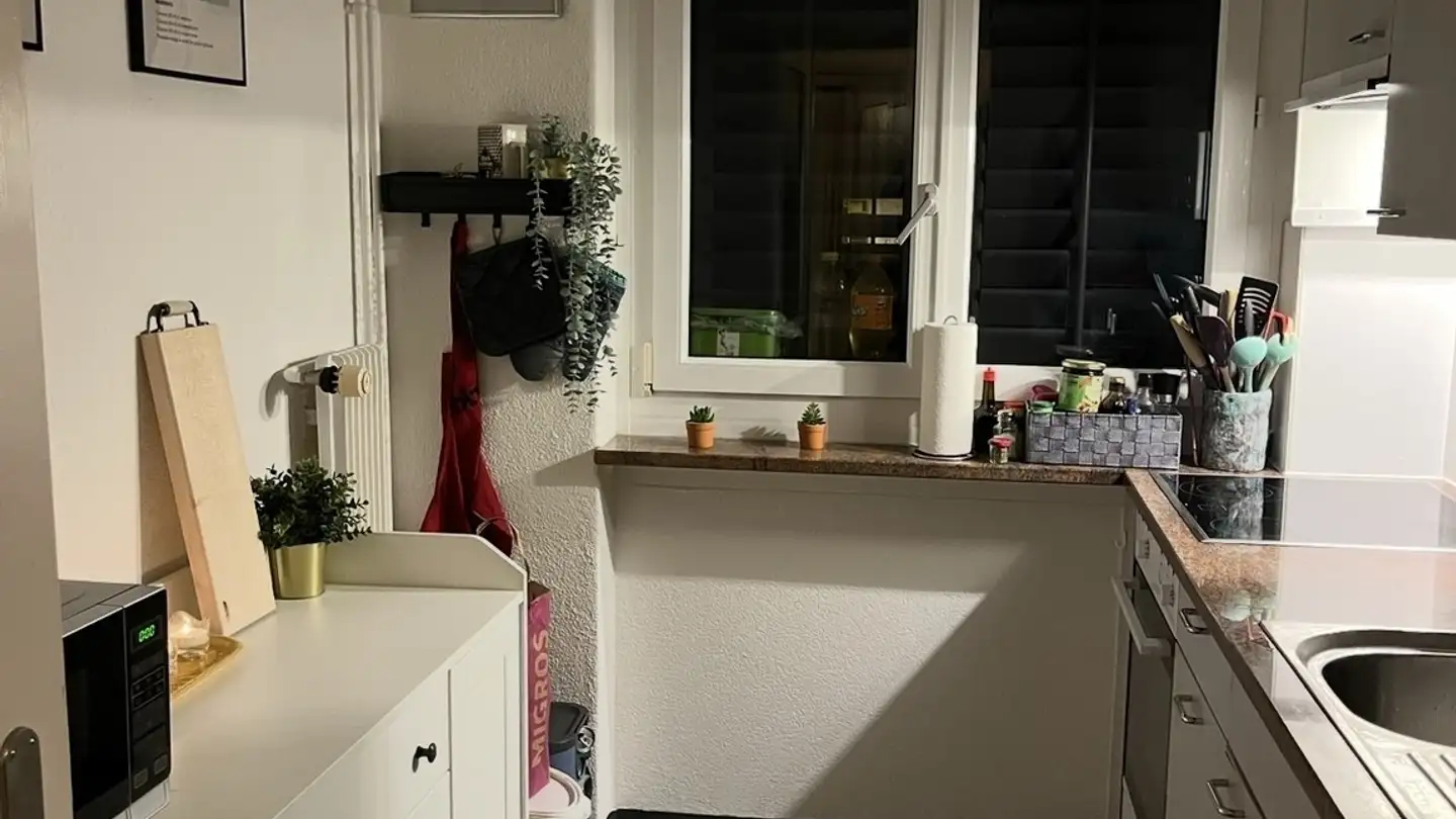 Appartamento in affitto - 8050 Zürich - Foto 3