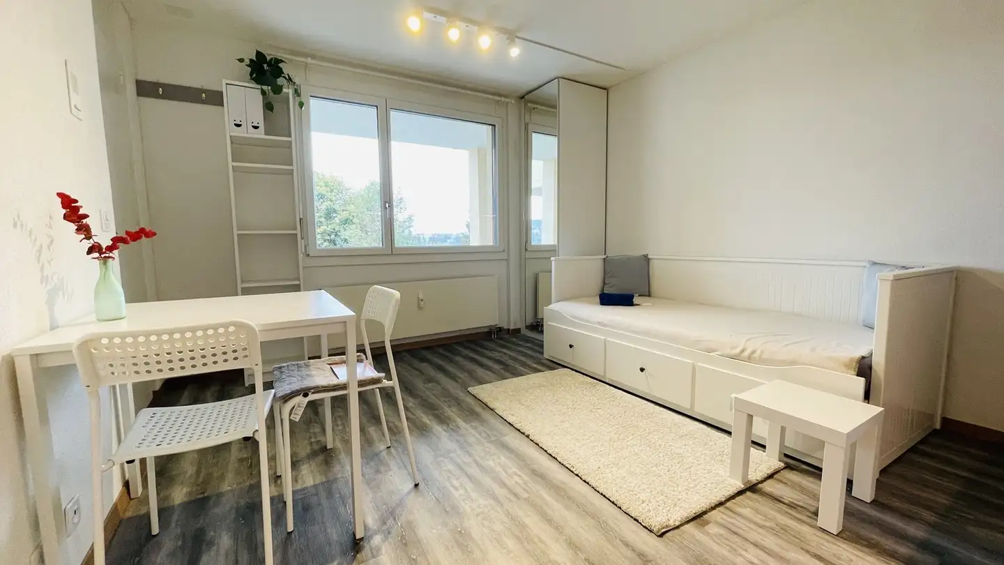 Appartement à louer - Höflirain 29a, 6030 Ebikon