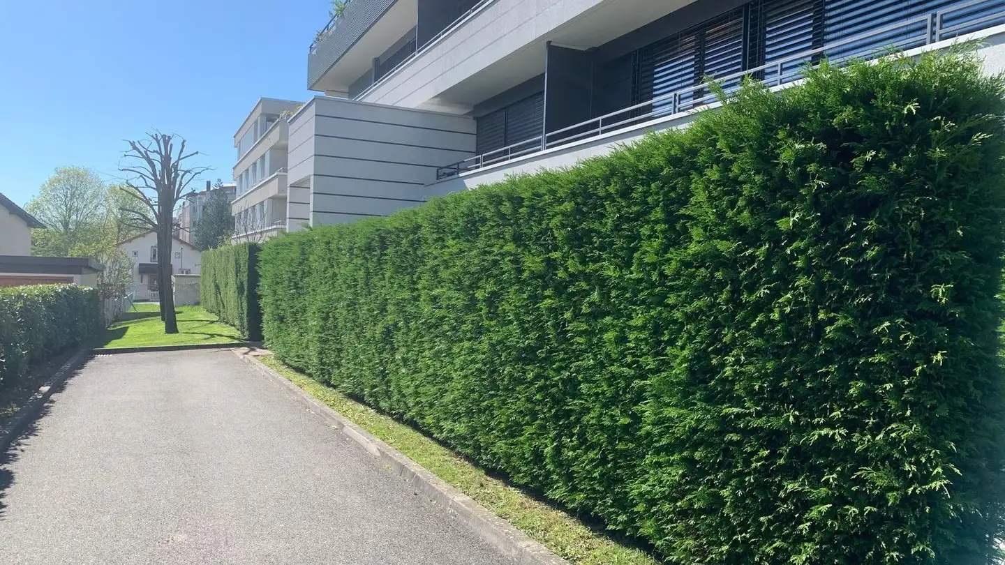Terrassenwohnung mieten - 1260 Nyon