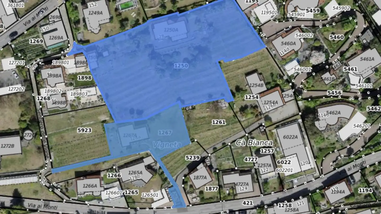 Villa in vendita - Sentiero Delle Vigne, 6605 Locarno - Photo 2