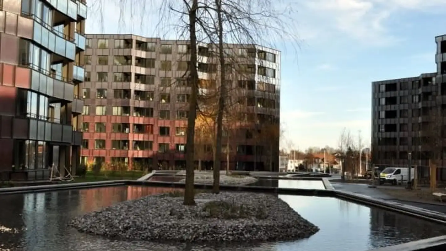 Appartement à louer - Hofwiesenstrasse 167, 8057 Zürich