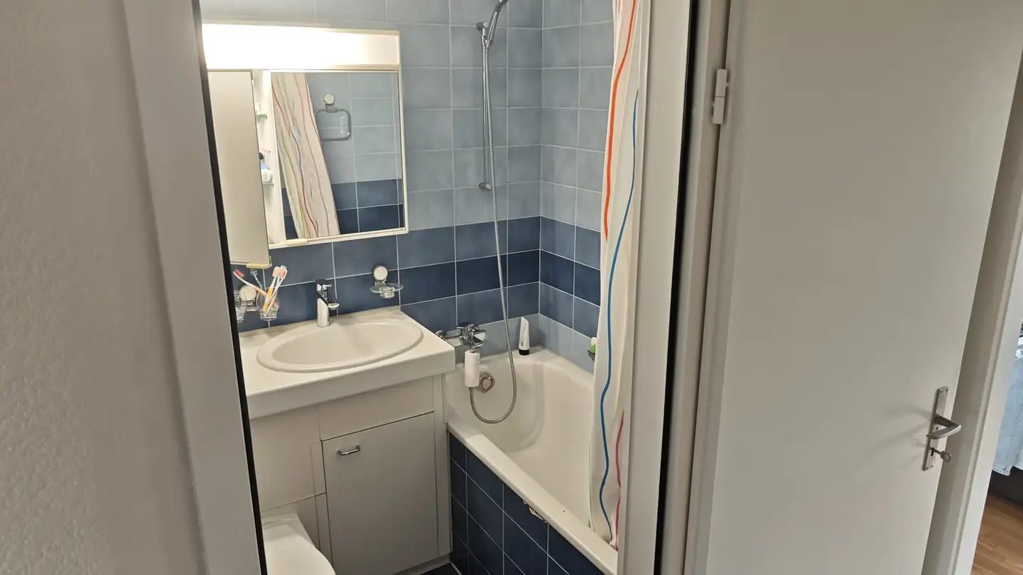 Wohnung mieten - Birmensdorferstrasse 11, 8953 Dietikon - Foto 4