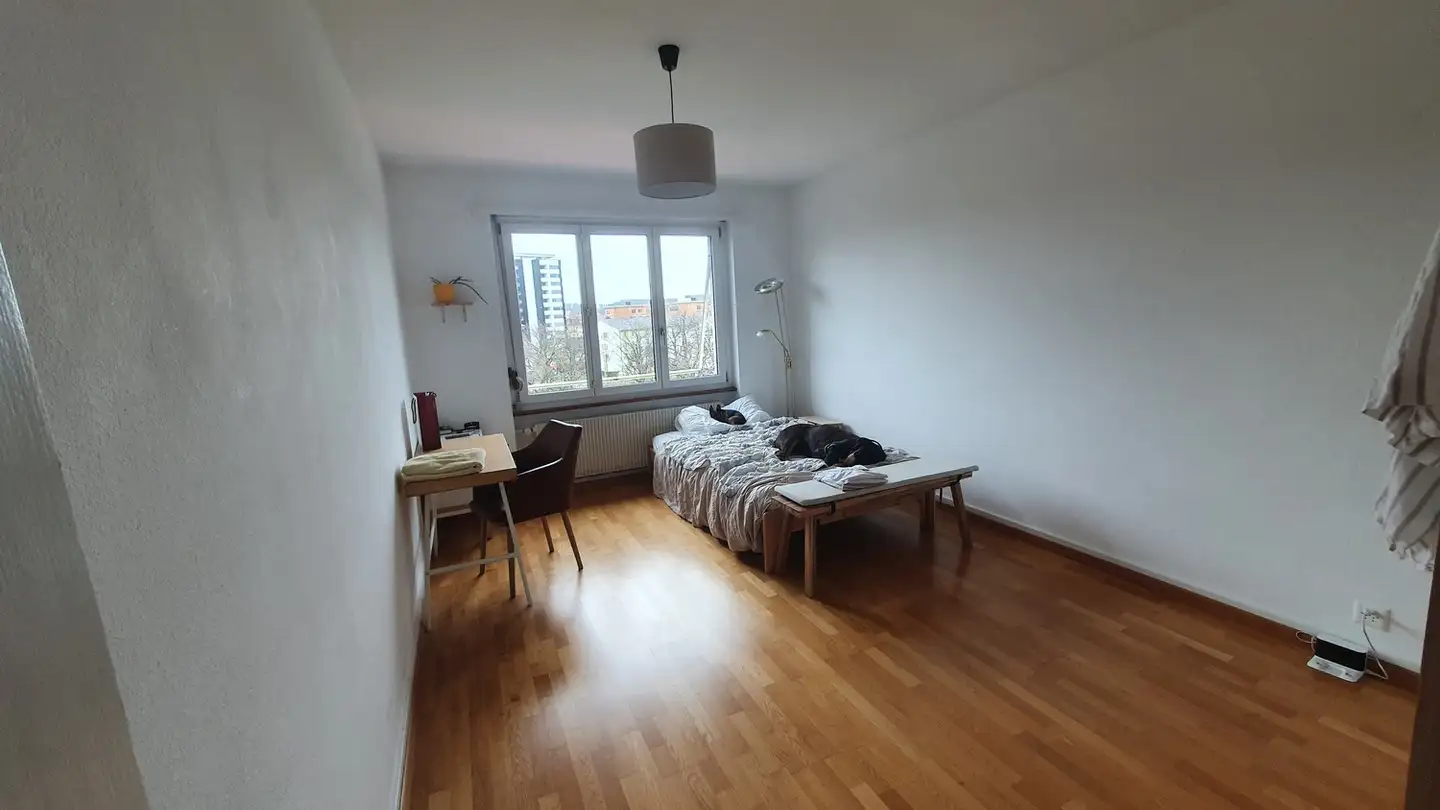 Stanza singola in affitto - 3014 Bern