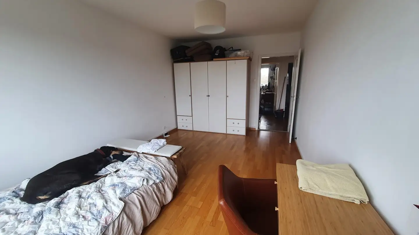 Stanza singola in affitto - 3014 Bern - Foto 2