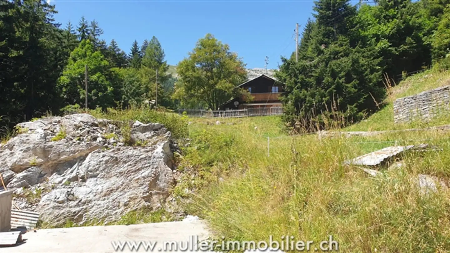 Apartment for sale - 1965 Savièse