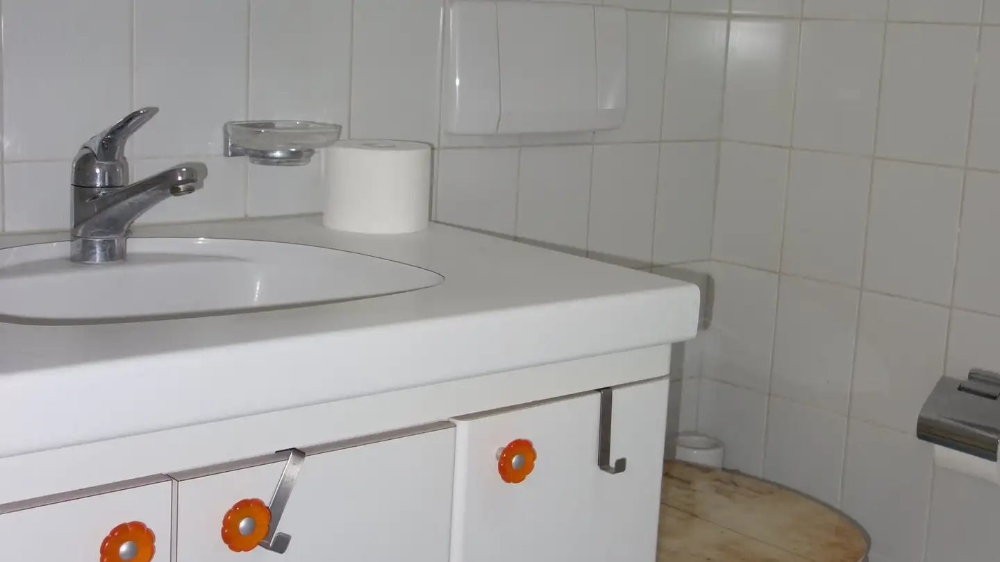 Appartamento in affitto - Tösstalstrasse 297, 8405 Winterthur - Foto 4