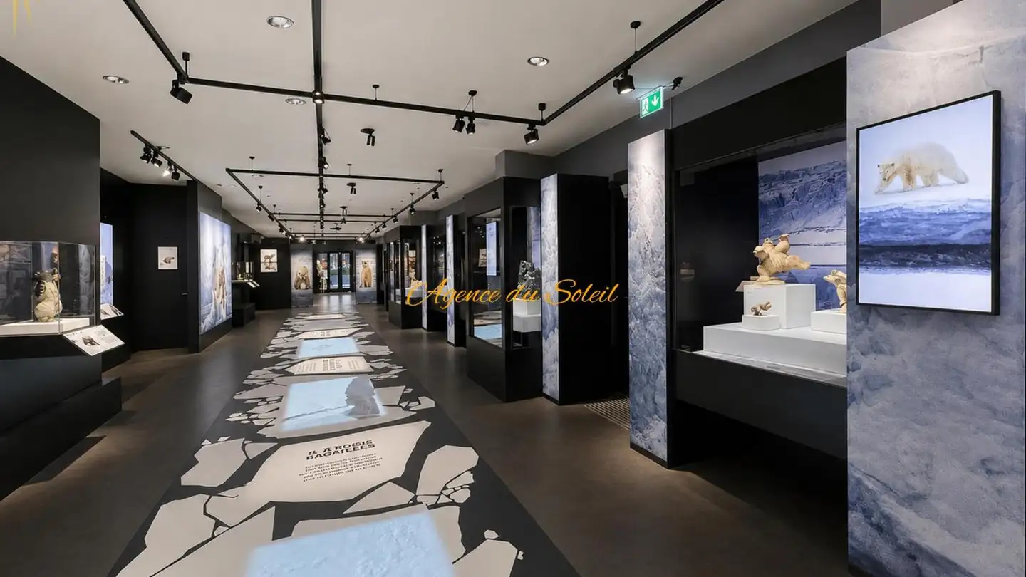 Shop for sale - 3963 Crans-Montana
