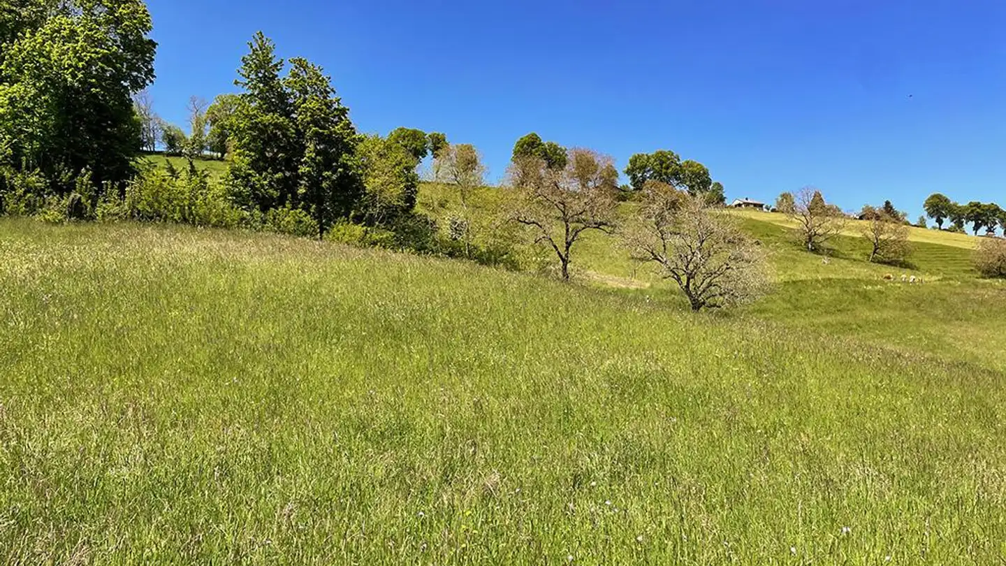 Villa kaufen - 1510 Moudon - Foto 2