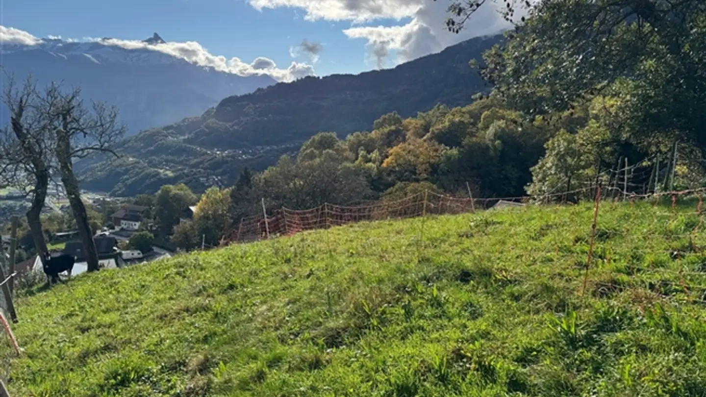 Appartement à vendre - 1868 Collombey