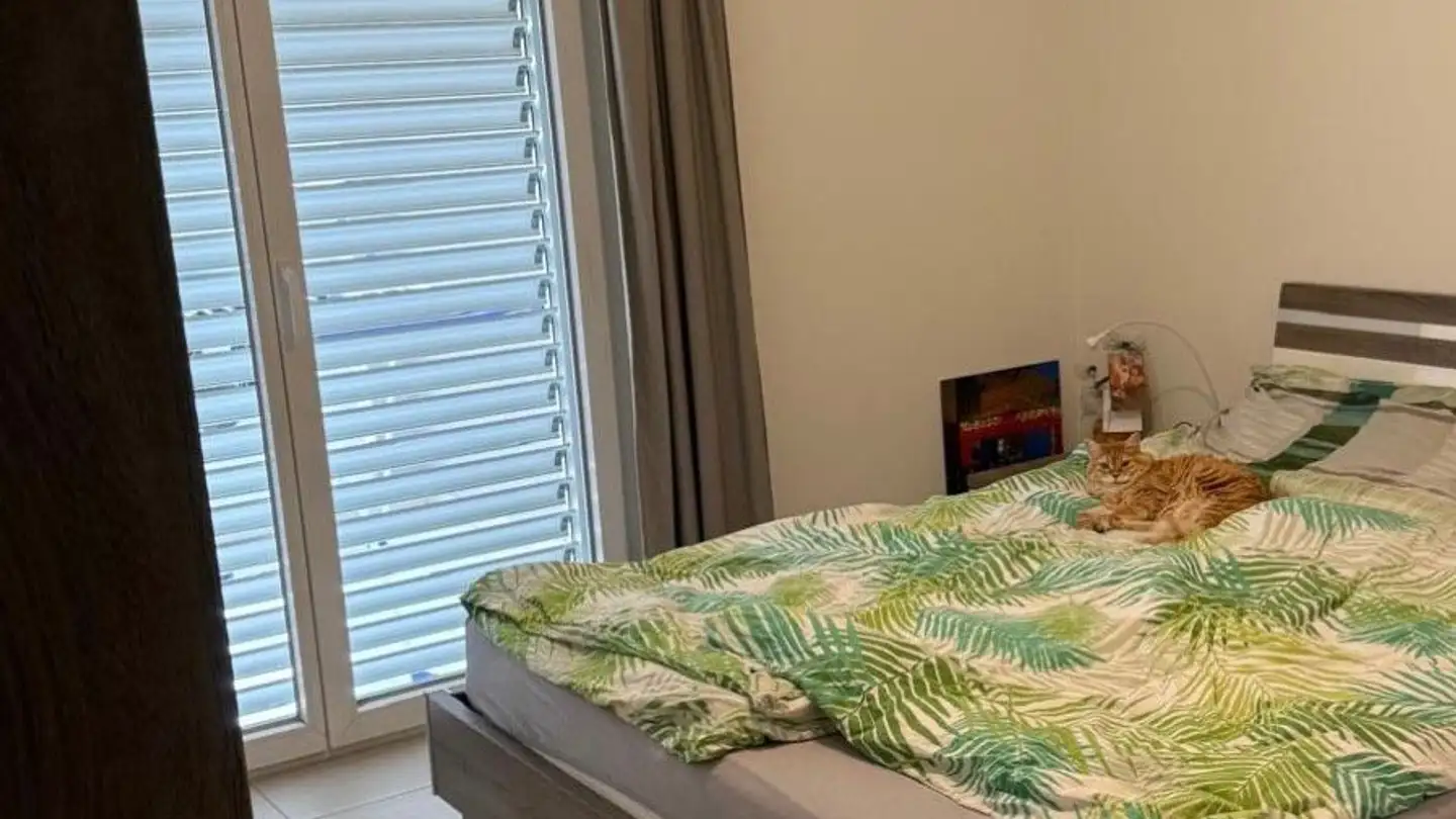 Appartamento in affitto - Via Pascolo, 6612 Ascona - Photo 2