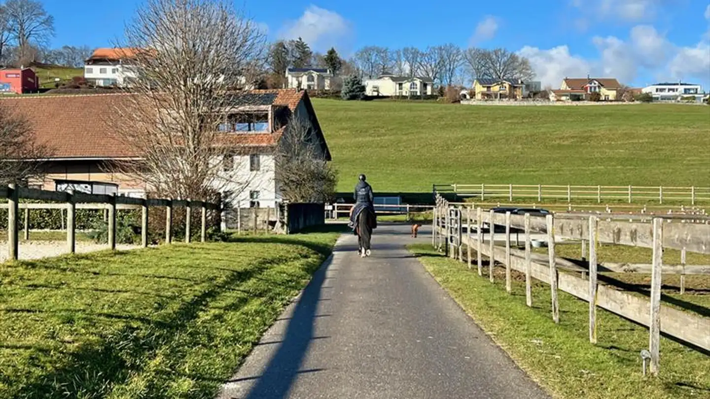 Single house for sale - 1630 Bulle