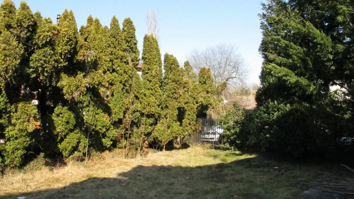 Casa singola in vendita - Route De Cartigny, 1236 Cartigny - Photo 2