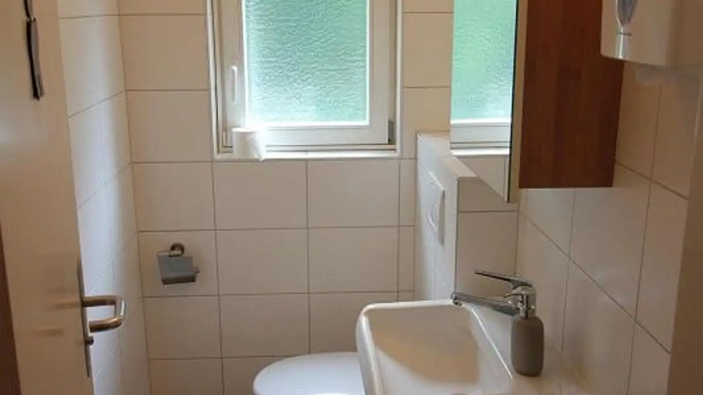 Proprietà industriale in vendita - Hardstrasse 50, 4127 Birsfelden - Foto 4