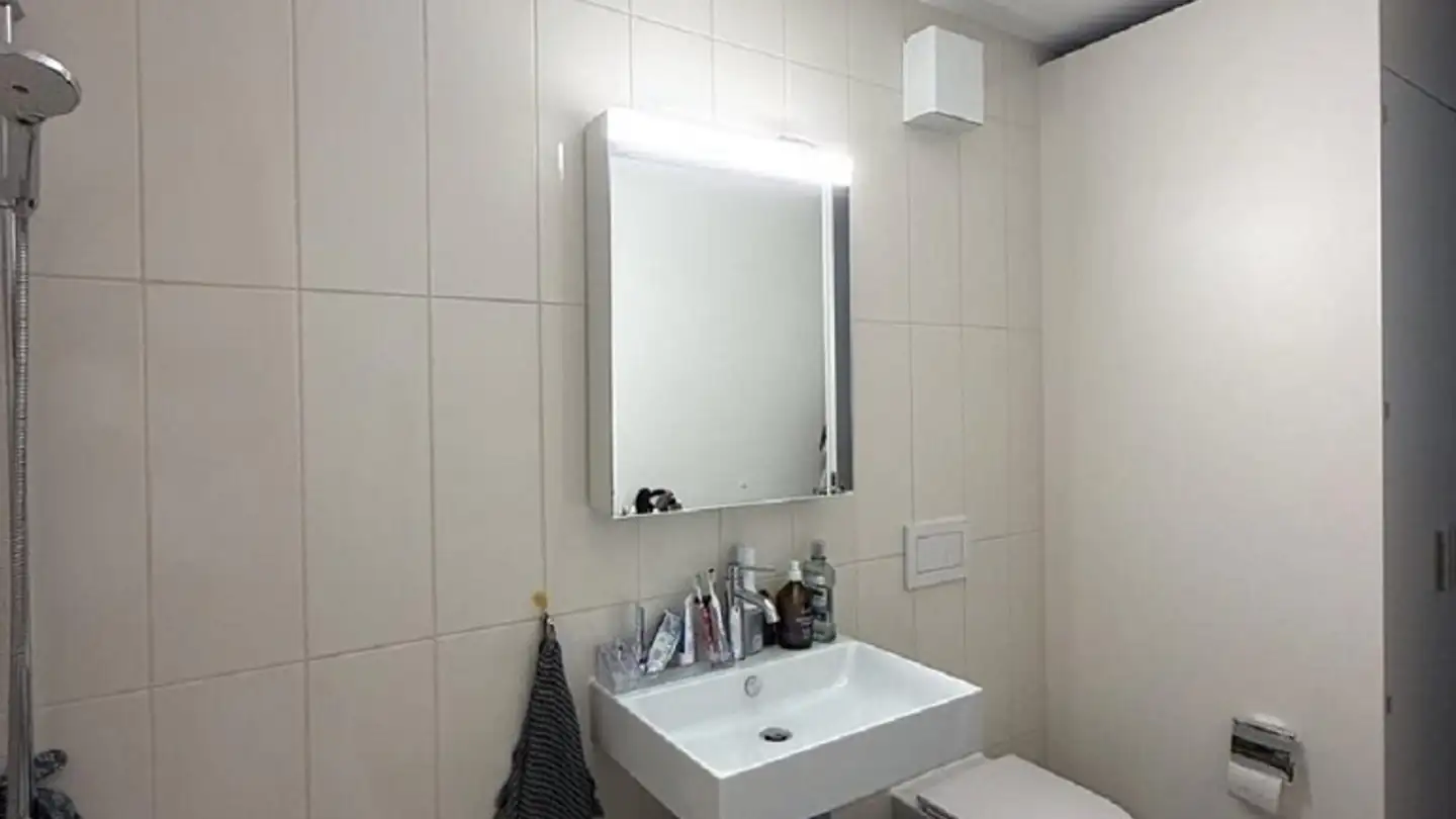 Appartement à louer - Austrasse, 8045 Zürich - Photo 2