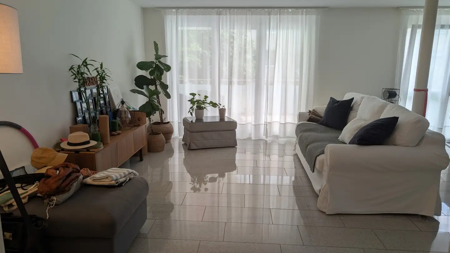 Furnished apartment for rent - 8800 Thalwil