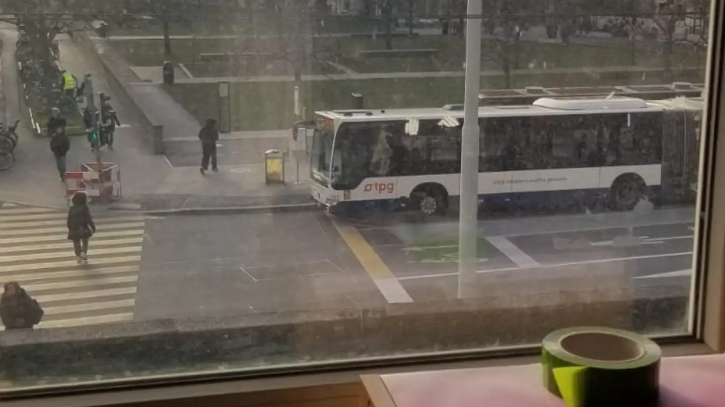 Appartement à louer - 1205 Genève