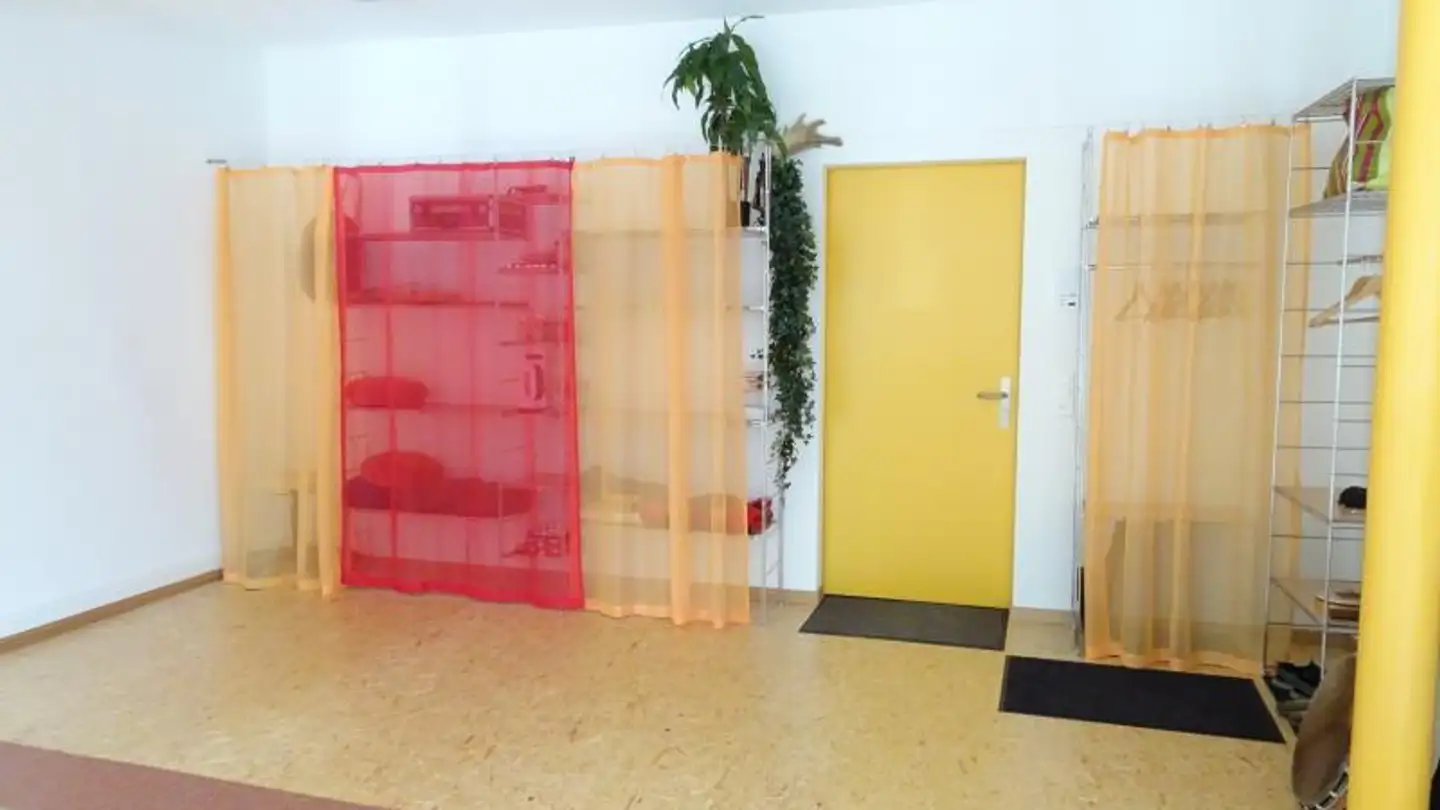 Appartamento in affitto - Edikerstrasse 16, 8635 Dürnten - Foto 3