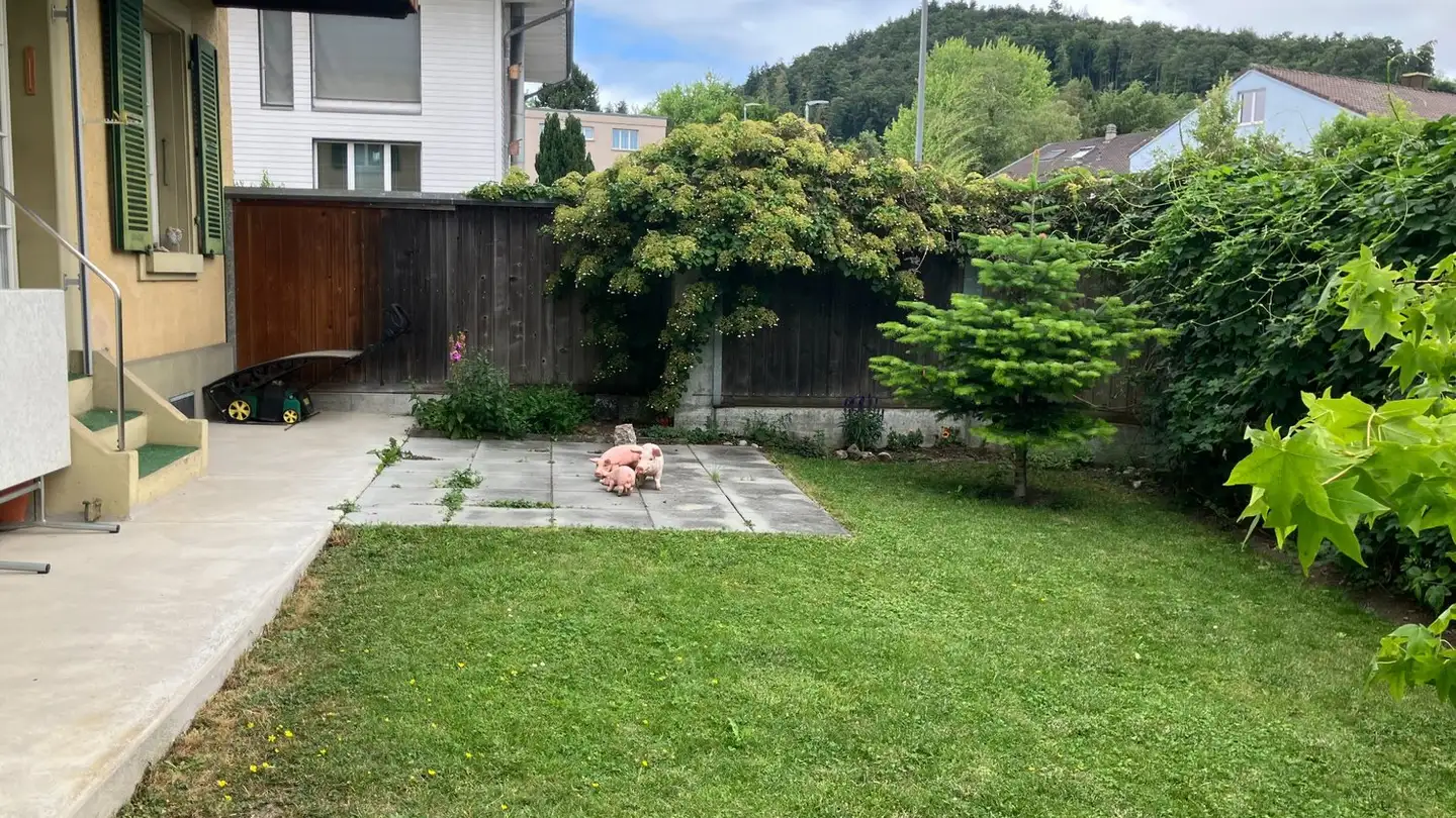 Wohnung mieten - Grauholzstrasse 23, 3063 Ittigen - Foto 3
