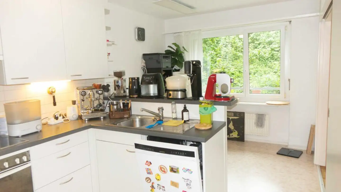 Apartment for rent - Rautistrasse, 8048 Zürich - Photo 3