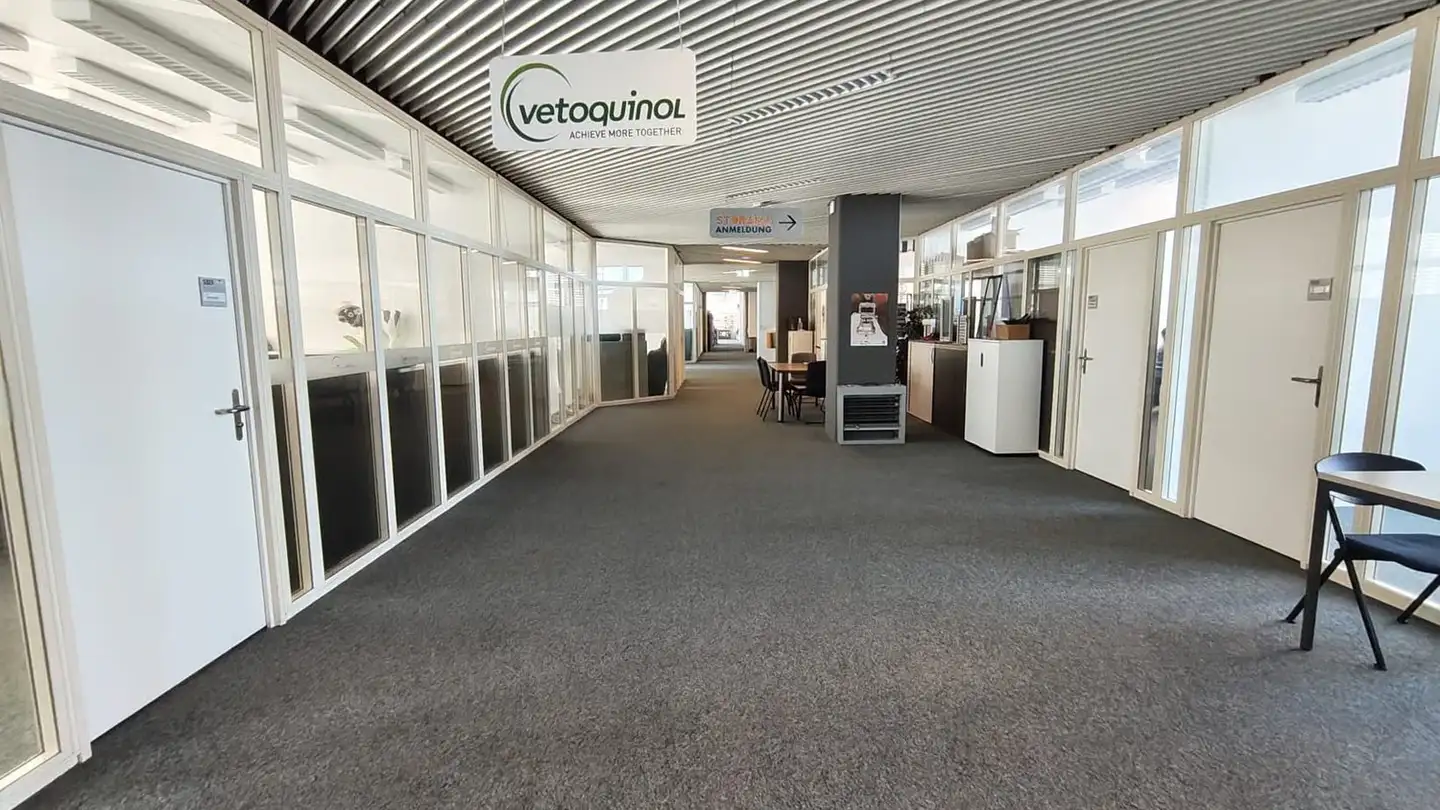 Bürofläche mieten - Freiburgstrasse 251, 3018 Bern - Foto 4