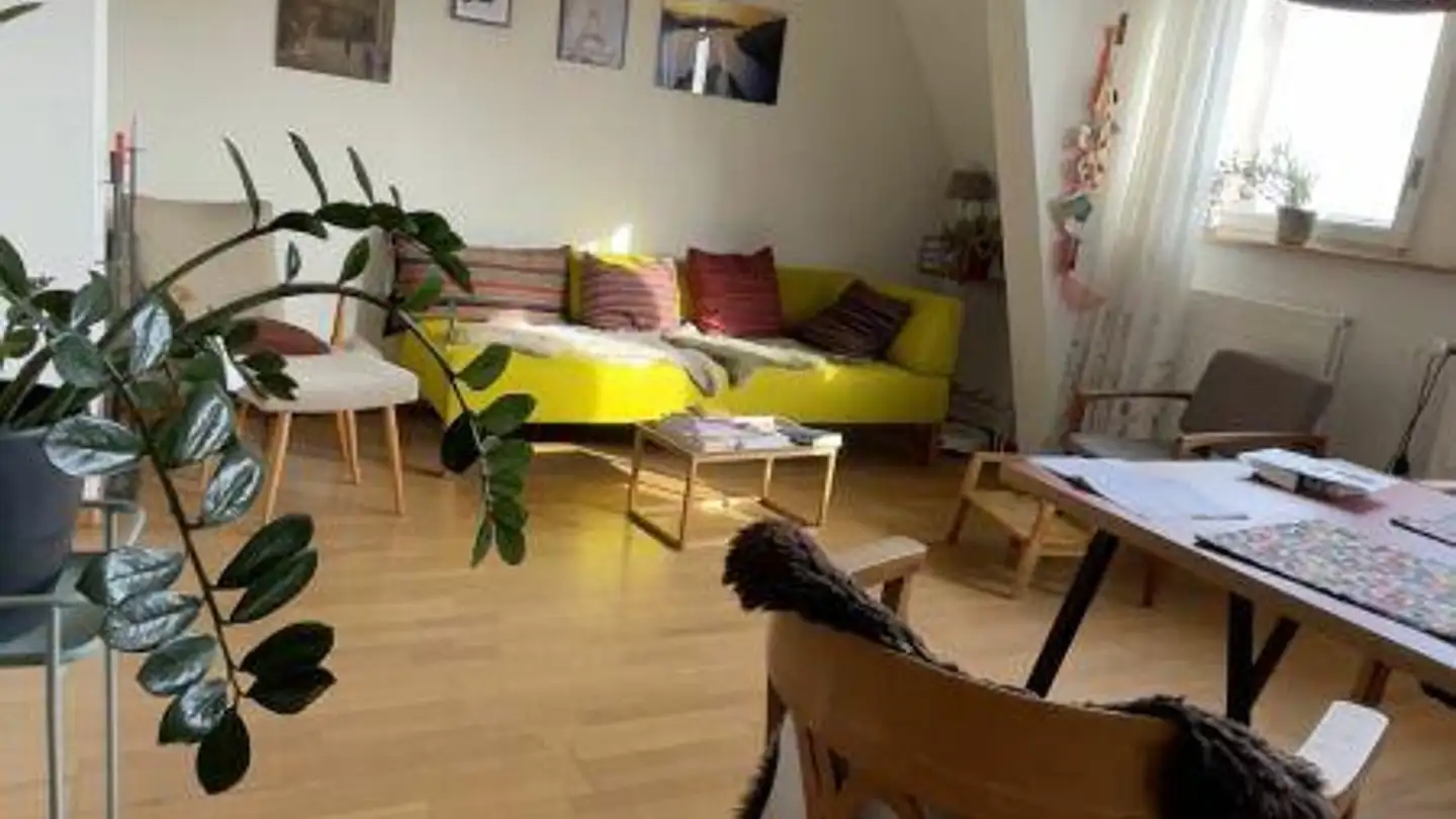 Appartamento in affitto - Rütimeyerstrasse 6, 4054 Basel - Foto 4