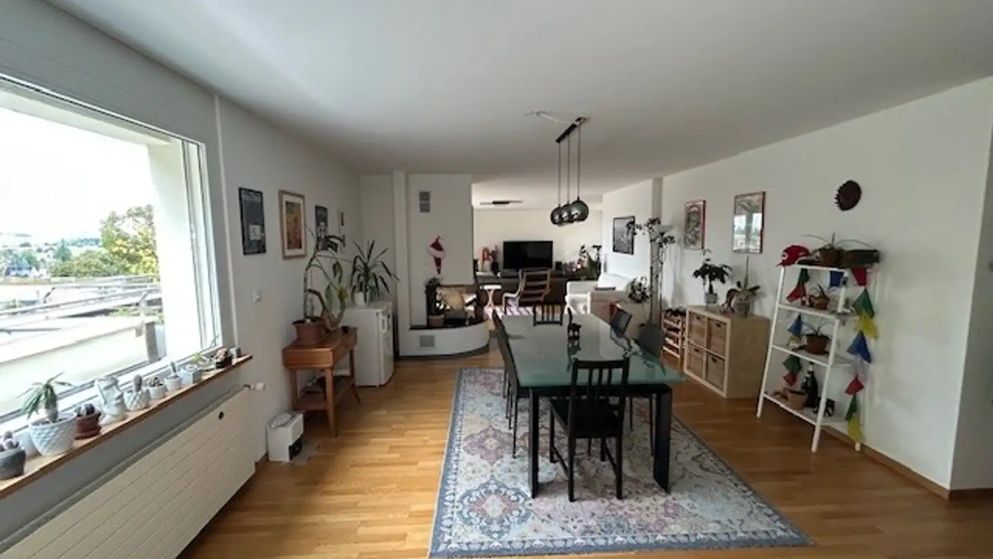 Stanza singola in affitto - 8046 Zürich