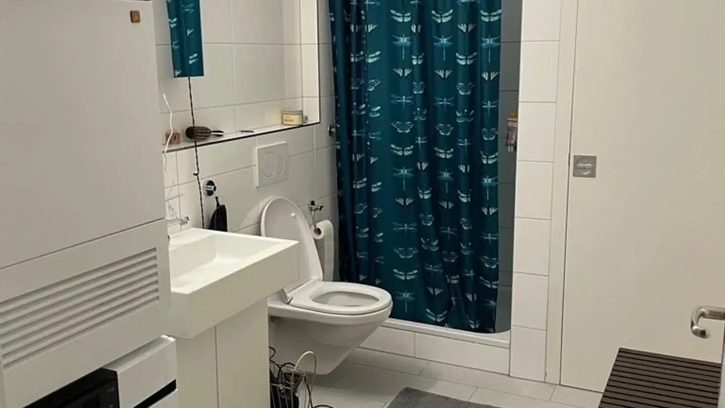 Single room for rent - Schiffbaustrasse, 8005 Zürich - Photo 2