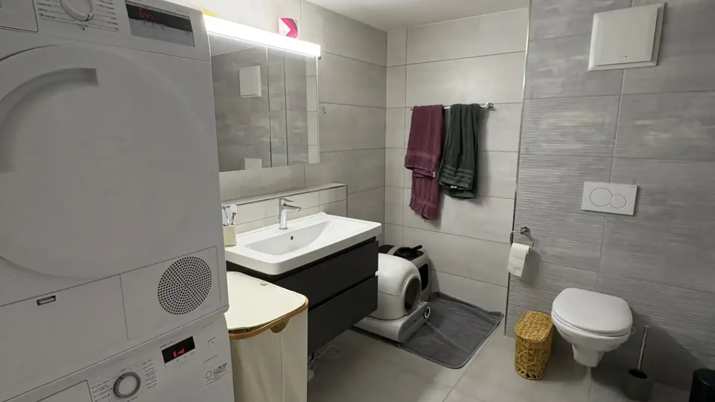 Appartamento in affitto - Route De Villaz 20, 1691 Villarimboud - Foto 4