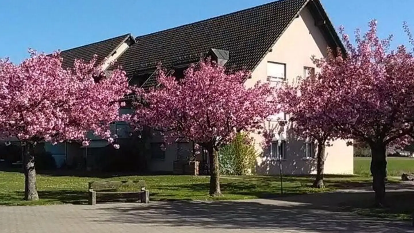 Appartamento in affitto - Amselweg 40, 4528 Zuchwil