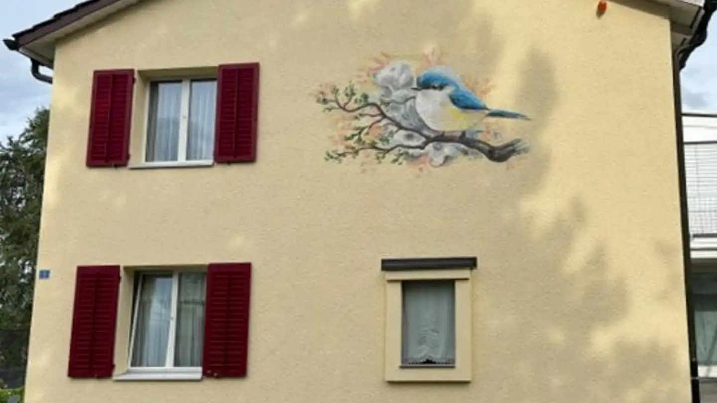 Chambre à louer - Seeblickstrasse 3, 9113 Degersheim