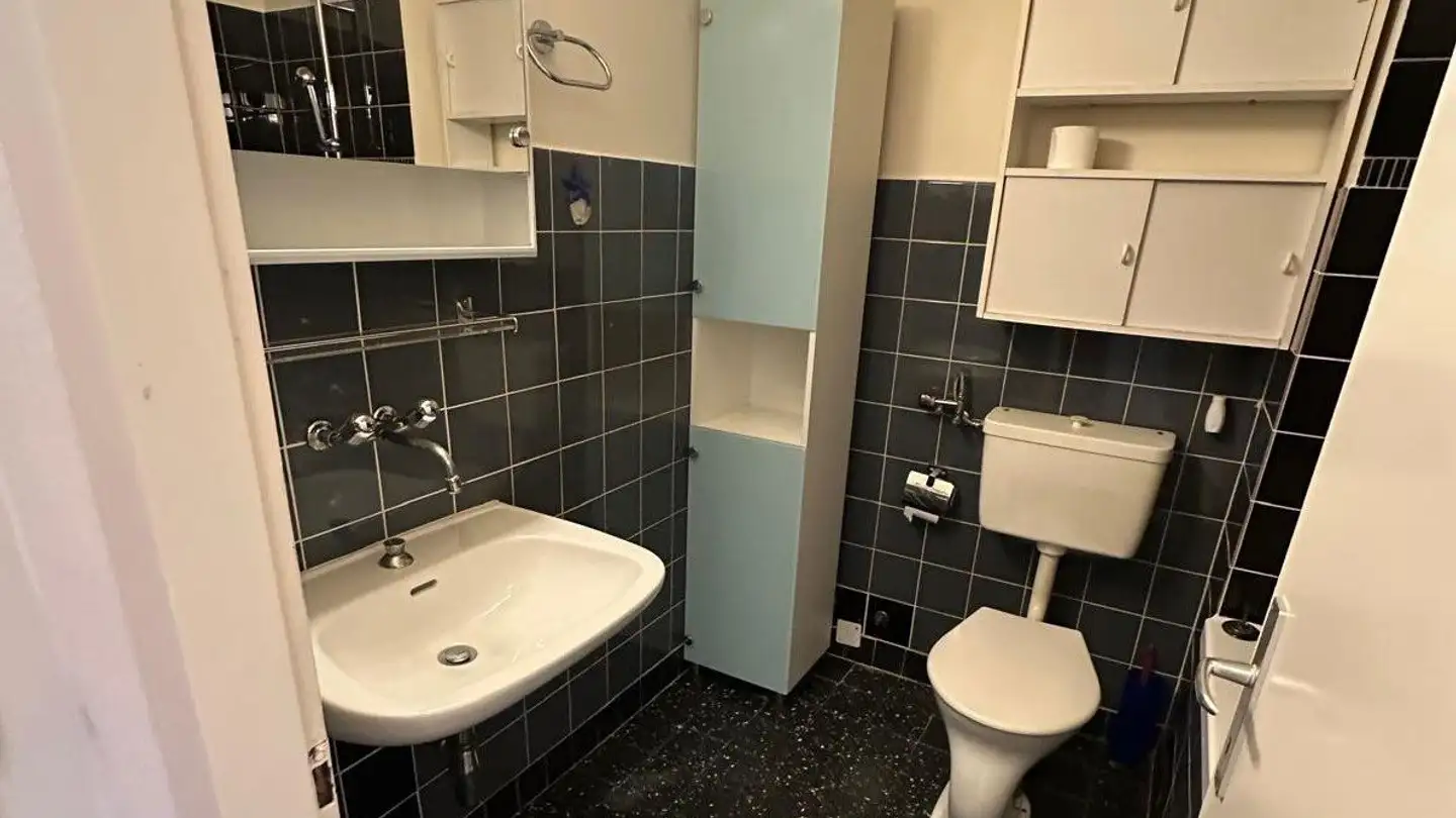 Appartement à louer - Rue De La Prulay, 1217 Meyrin - Photo 3