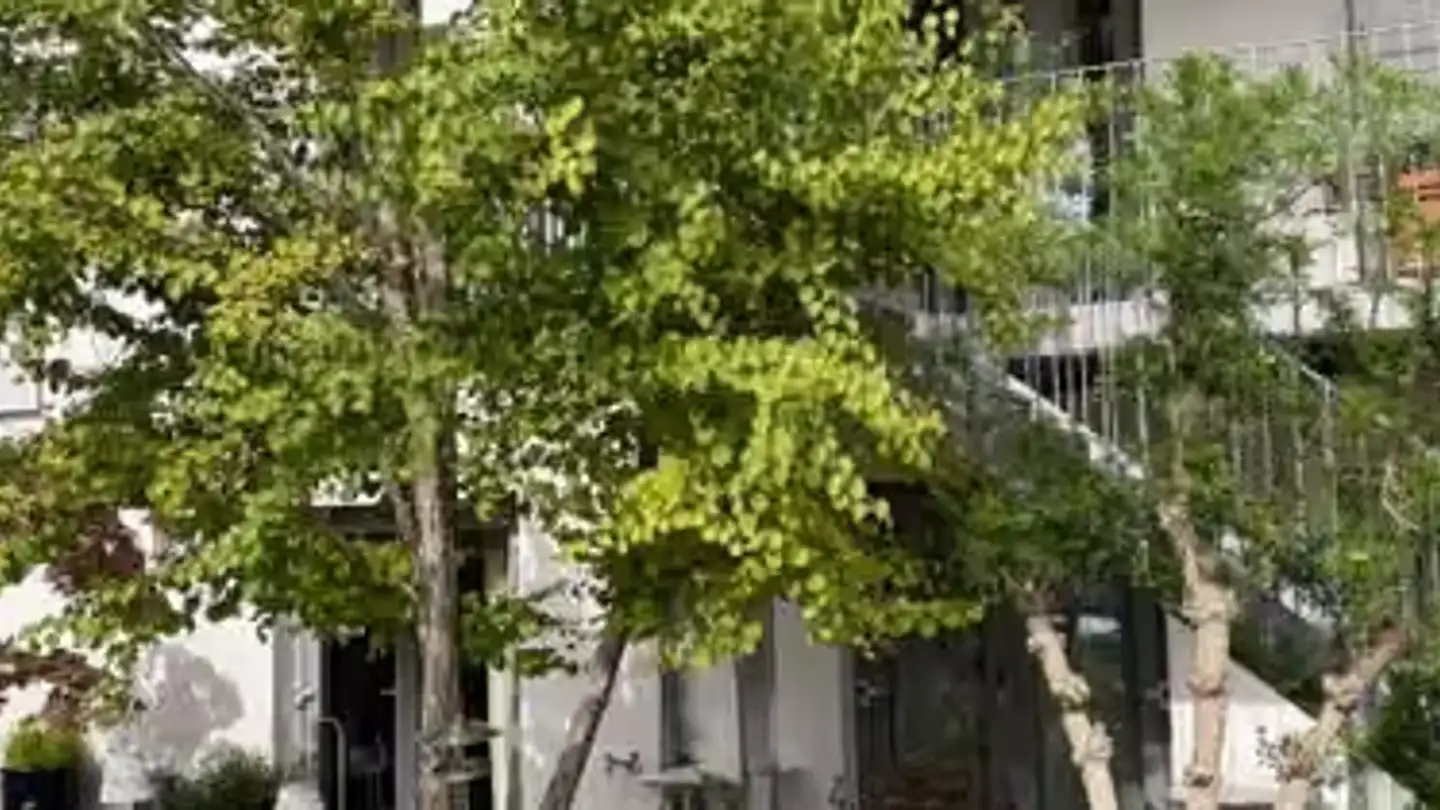 Apartment for rent - Rue Saint-Laurent 5, 1176 St-Livres - Photo 2