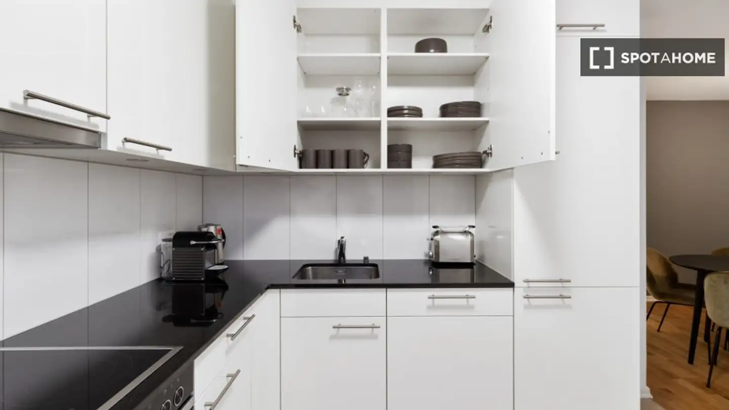 Appartement à louer - 8050 Zürich - Photo 4