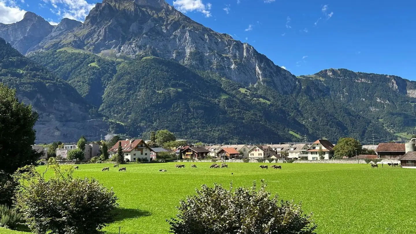 Apartment for sale - 6460 Altdorf UR - Photo 2