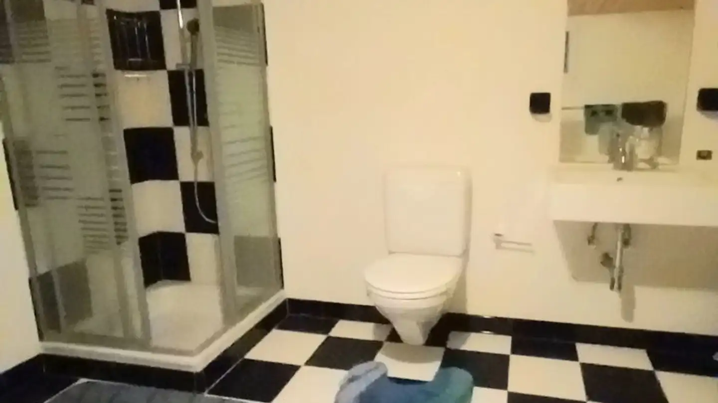 Stanza singola in affitto - 5712 Beinwil am See - Photo 4