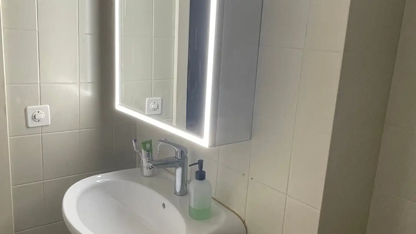 Apartment for sale - 1623 Semsales - Photo 2