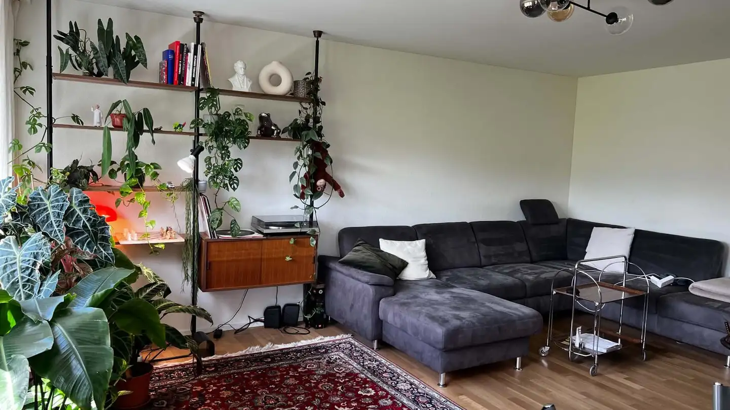 Chambre à louer - Altstetterplatz 11, 8048 Zürich