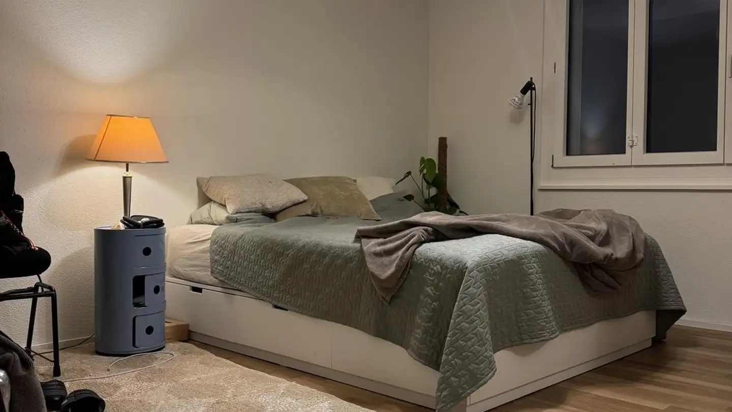 Chambre à louer - Altstetterplatz 11, 8048 Zürich - Photo 3
