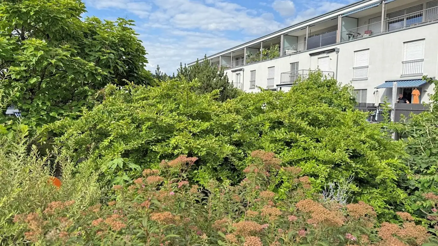 Villa in vendita - Pilgerstrasse 43, 5405 Dättwil AG - Photo 3