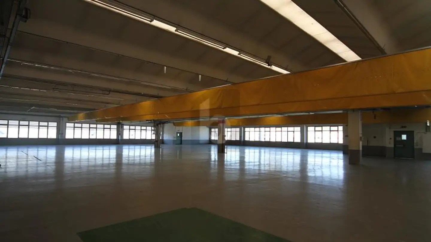 Usine à louer - 6855 Stabio