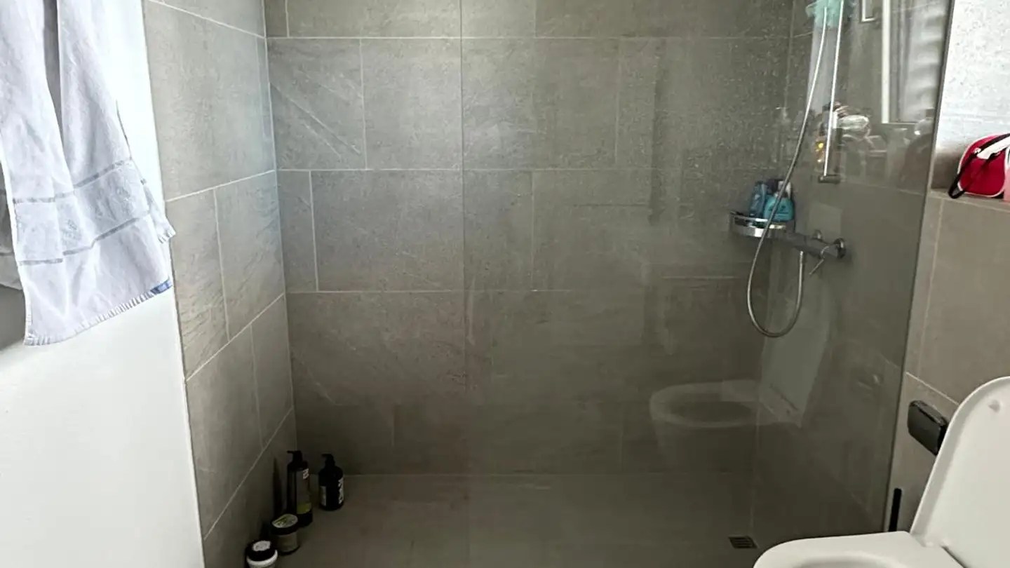 Appartement à louer - Egelseestrasse 3, 8962 Bergdietikon - Photo 4