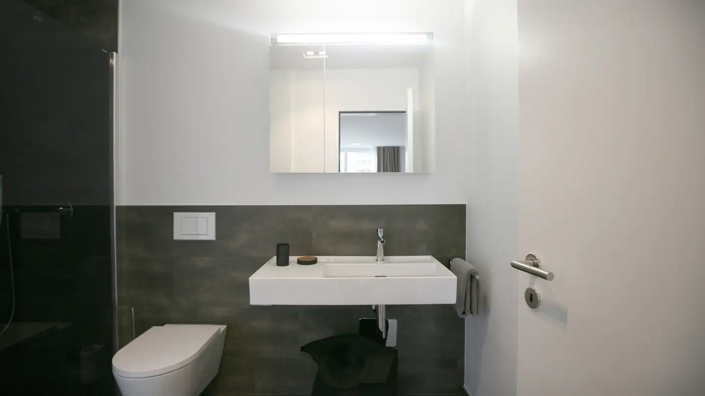 Appartamento in affitto - Zugerstrasse 112, 6330 Cham - Foto 3