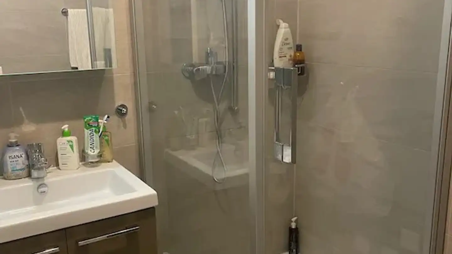 Casa singola in affitto - Route De Collex, 1239 Collex - Photo 4